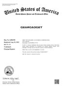 Foam Cannon with 1/4 Inch Quick Connector, 1 Liter, 5 Pressure Washer Nozzle Tips